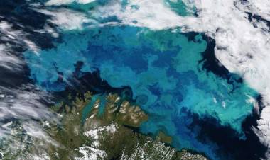 Environmental Change will shift the ocean's colors