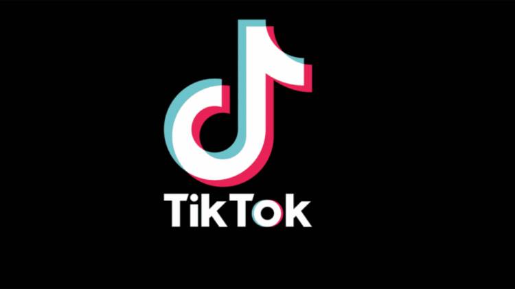 Madras High Court Directs Ban TikTok Downloads 